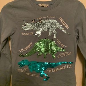 Dinosaur sweater H&M